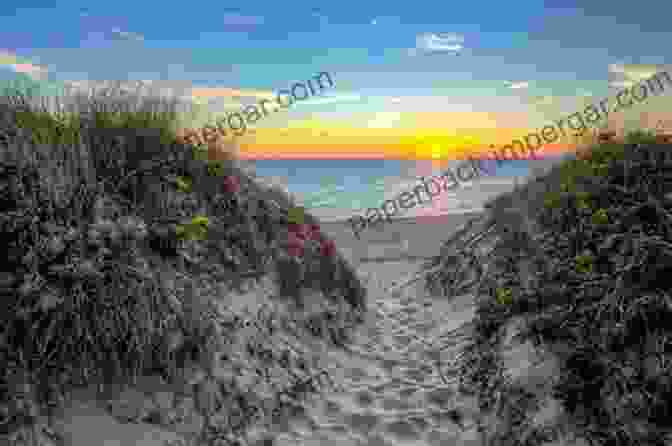 A Family Enjoys A Day At The Beach On Cape Cod Cape Cod ABCs