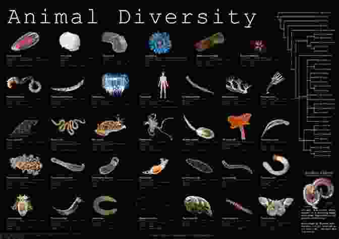 A Group Of Animals Looking At The Camera, Representing The Diversity And Complexity Of The Animal Kingdom French Thinking About Animals (The Animal Turn)