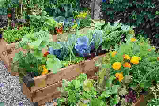 A Lush And Vibrant Vegan Garden Filled With An Array Of Fresh Vegetables And Herbs. Vegan Diet: Cookbook