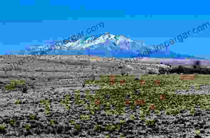 A Panoramic View Of The Sacramento Mountains From A Scenic Overlook, Revealing Its Rugged Peaks, Verdant Forests, And Distant Horizon Echoes Of The Agua Chiquita: An Early History Of The Sacramento Mountains