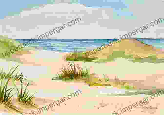 An Artist Paints A Scene Of Cape Cod From The Beach Cape Cod ABCs