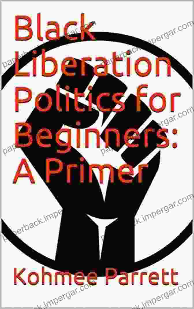 Black Liberation Politics For Beginners Primer Book Cover Black Liberation Politics For Beginners: A Primer