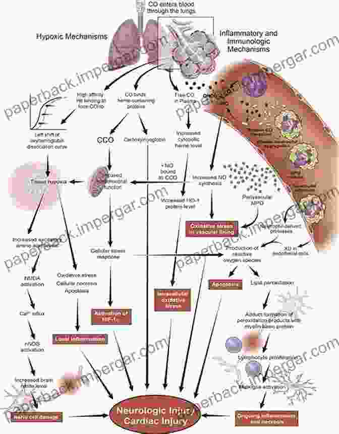 Diagram Illustrating The Mechanisms Of Poisoning Memoranda On Poisons