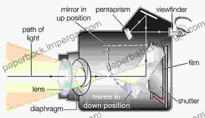 Diagram Of A Camera's Anatomy, Including Lens, Aperture, Shutter, And ISO Settings Panasonic LUMIX GX80 / GX85 Companion: A Guide To Mastering Your Camera