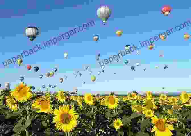 Hot Air Balloons Over A Field Of Sunflowers Balloons Aloft: Flying South Dakota Skies