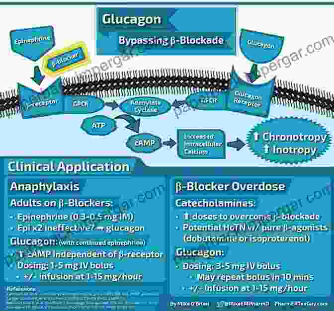 Infographic Illustrating Antidote Mechanisms And Treatment Strategies Memoranda On Poisons