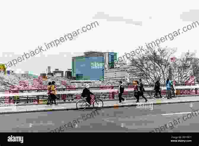 People Enjoying The Cherry Blossoms At Dojima Bridge, Osaka, Japan Photo Album Cherry Blossoms Blooming At Dojima Bridge 2