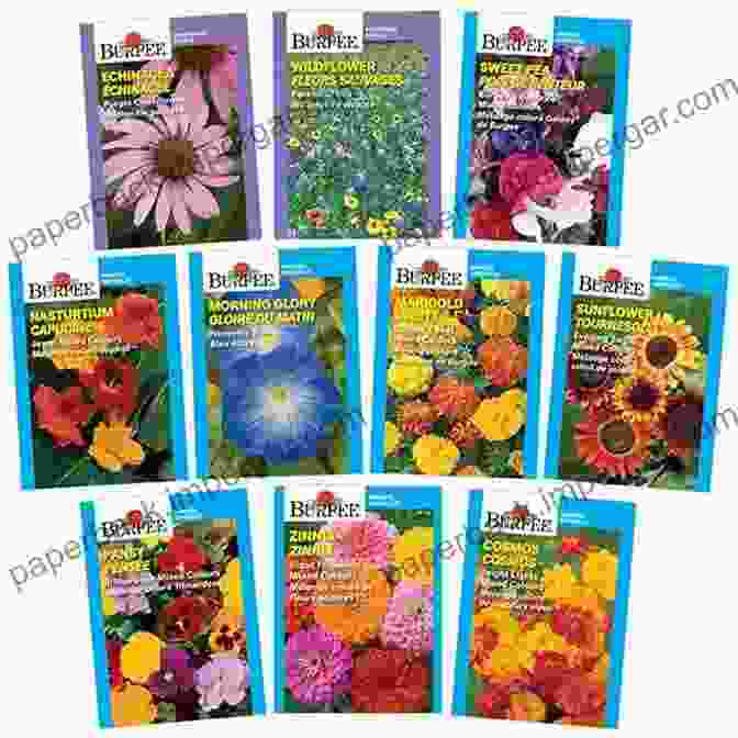 Picture Of Colorful Flower Seeds In A Packet Flower Gardening For Beginners: The Essential 3 Step System On How To Plant Flowers Grow From Seeds Design Your Landscape And Maintain A Beautiful Flower Yard