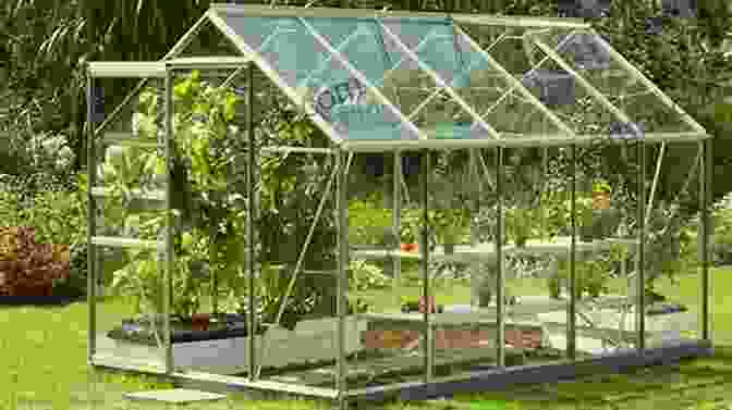 Picture Of Seedlings Growing In A Greenhouse Flower Gardening For Beginners: The Essential 3 Step System On How To Plant Flowers Grow From Seeds Design Your Landscape And Maintain A Beautiful Flower Yard