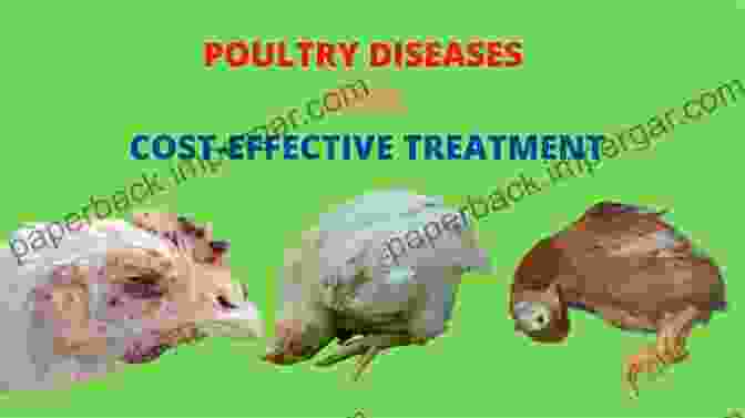 Poultry Disease Diagnosis And Treatment Poultry Health: A Guide For Professionals