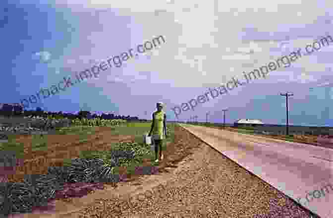 William Eggleston's Photograph Of A Dirt Road In The Mississippi Delta The Beautiful Mysterious: The Extraordinary Gaze Of William Eggleston (University Of Mississippi Museum And Historic Houses 1)