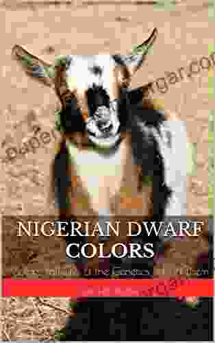 Nigerian Dwarf Colors: Colors Patterns The Genetics Behind Them