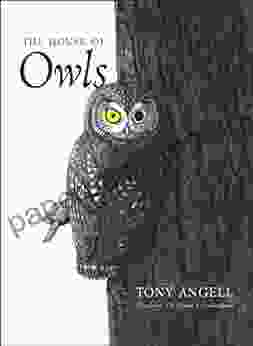 The House Of Owls: Democracy And The Armed Society