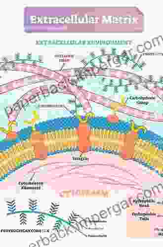 Extracellular Matrix Genes (Biology Of Extracellular Matrix)