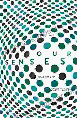 Our Senses: An Immersive Experience