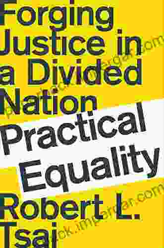 Practical Equality: Forging Justice In A Divided Nation