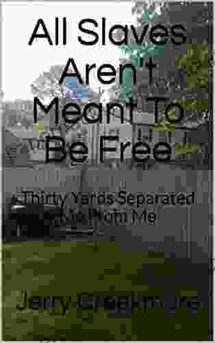 All Slaves Aren T Meant To Be Free: Thirty Yards Separated Me From Me (Time To Wake Up)