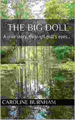 The Big Doll: A True Story Through Doll S Eyes