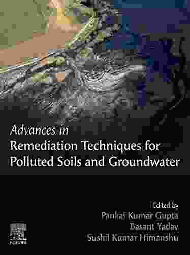 Advances In Remediation Techniques For Polluted Soils And Groundwater